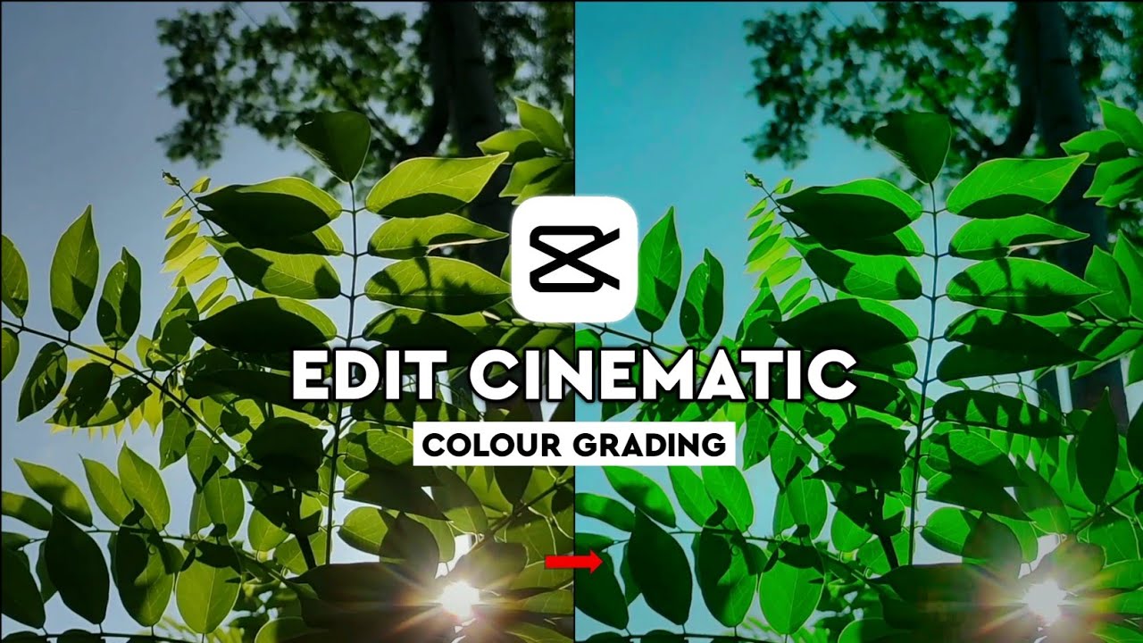 Memahami pengaturan color grading di CapCut PC